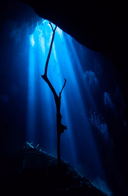 Item #25422583313571458459737529461820134862175223810011730482418987896955234942977 Media