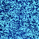 113825769663938829490130269982088633073590406373283501992526438415089998495745