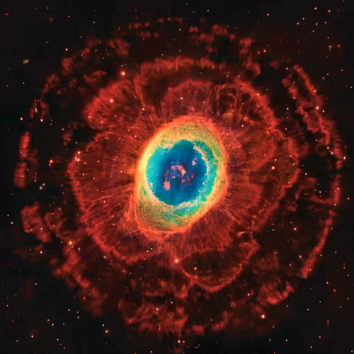 Untitled Collection #278387527