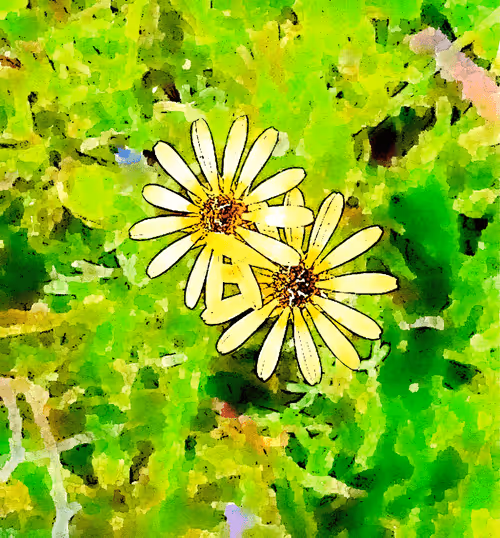 Item #23586274718377853504826207668531862457816485670593798671801516795650553937923 Media