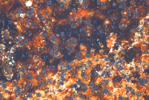 Item #79344610006394990172426151680052847993804714463793532098727485654584182964225 Media