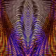 11367915984834092434980660560867842666210682434882998883037150937024062029825