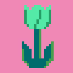 CryptoTulips #089