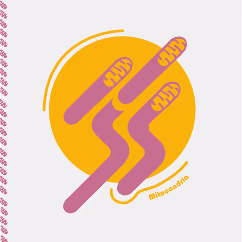 Item #28217420329942861487200254143315689988869562790284857015817128398596624875521 Media