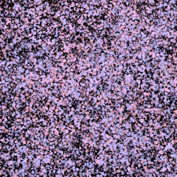 944858660688572096584618472555991747686703840338442188877309688521431187457