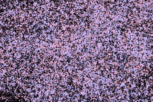 Item #944858660688572096584618472555991747686703840338442188877309688521431187457 Media