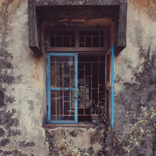 For The Love Of Blue