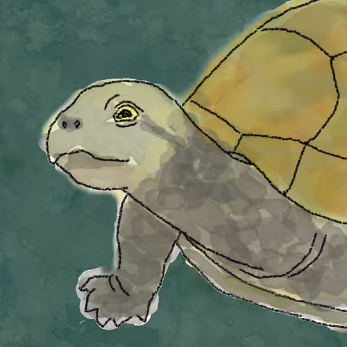 Item #66864591556007262573719694230904401261970940183926238908367936768628762869761 Media