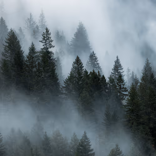 Nothing But Landscapes
