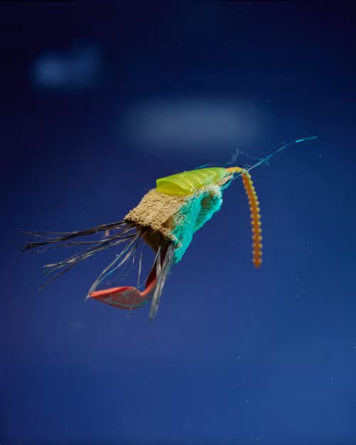 Item #109516060790128716410476023957010007194992899360469946350860993265515639078913 Media