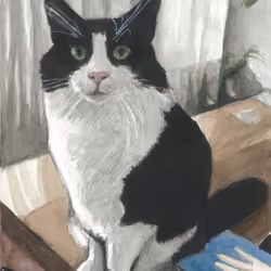Cat Illustration #21