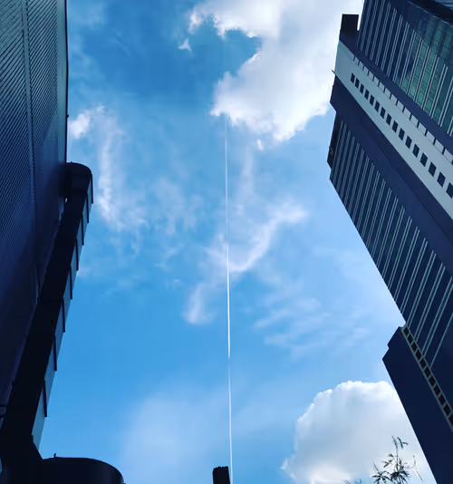 Item #67661316231098054921682891401216402451914203863513117788927143092094039490561 Media