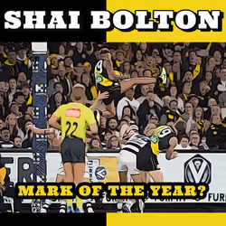 Shai Bolton Mark of the Year? 1 of 1