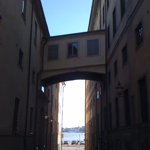 Skybridgescurated KzSv89HzcP