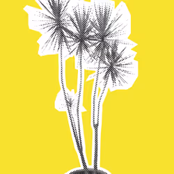 25379124807980713745219244606437574046087384809022650852355167109321888628737