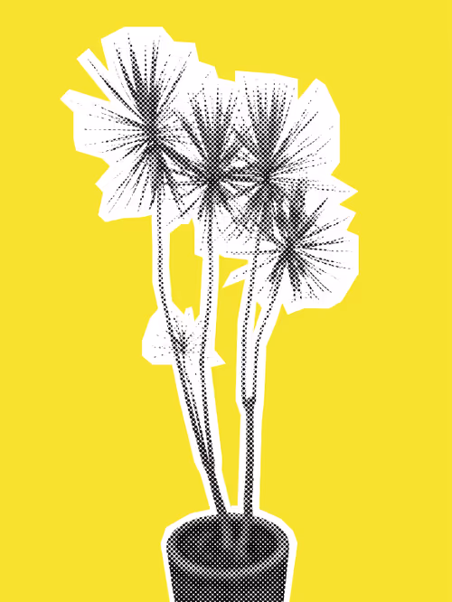 Item #25379124807980713745219244606437574046087384809022650852355167109321888628737 Media