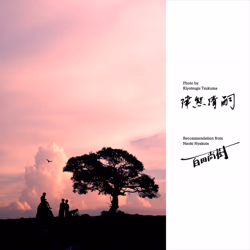 Item #50363599063163147153613145821536573388188757472313701897706766263782943490049 Media