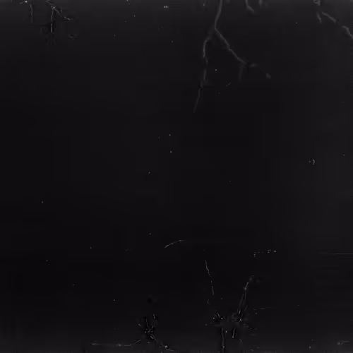 Lifeincelluloid