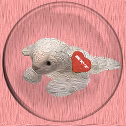 41776025324002017952572422073316458441069080831023694546850786526264175886337