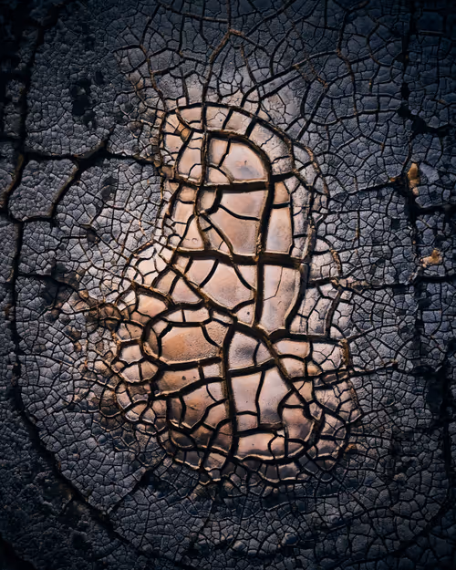 Item #48569969918486252391313193872888082509063999467385227964737452529957845598209 Media