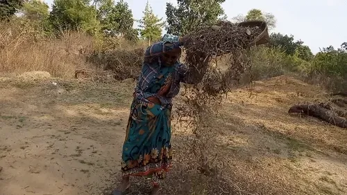 Item #31238153525127499550772937323326202416823057881025068708881805756891050016769 Media