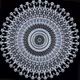 50367686488625809029713578217732297666109738085027278390782918491198615191553
