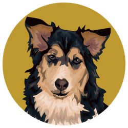 54766349128176429303044182404049584425310907481653304317570413923235751002113