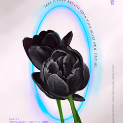 34421031415970950286101163622191489157320889034924944611203052211247488434177