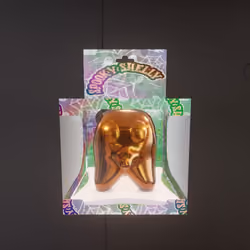 Spooky Shelly #48 THE BRONZE ONE!!!!
