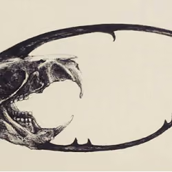 Muto 03