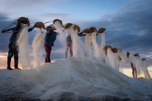 Item #44380994338133063636427405274069008736849147253072084515634940314006025404417 Media