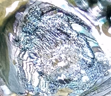 Item #13444301814129602998963981015942214273986404883937421341916514792451522691073 Media