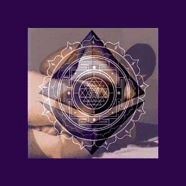 Item #56485572865643406190523004317693602155169995562420708378703551233764616044545 Media