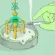 SMOKING ZONES