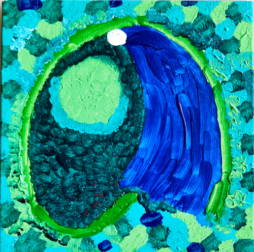 Item #98891217174807341695254781520065403010751514812011148404666546515918819688449 Media