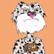77687369261019096922886603463805275189119299588419690186729581417144193646593