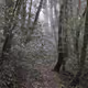 One Walk