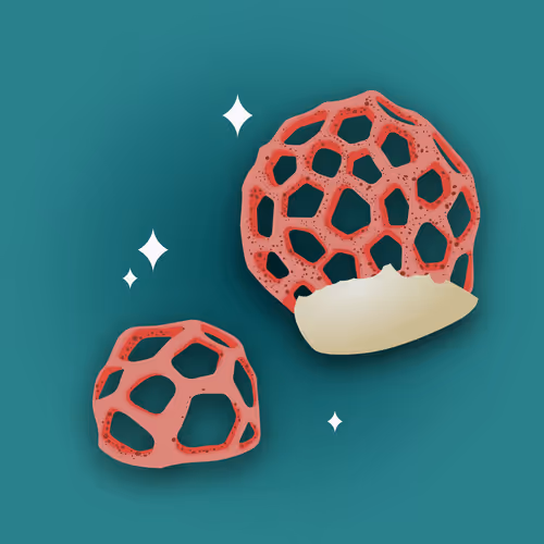 Item #53620360078498613901339183149326713416038543427946561370212888002010789445633 Media