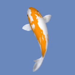 85890538515849146191794191908996501016024634704301377485849145022629692833793