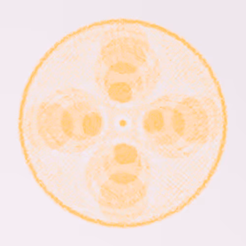 Item #56973419019861600765457047389383188289079904378367063993006434965527866638337 Media