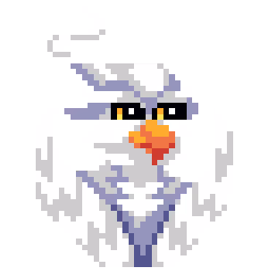 Havik