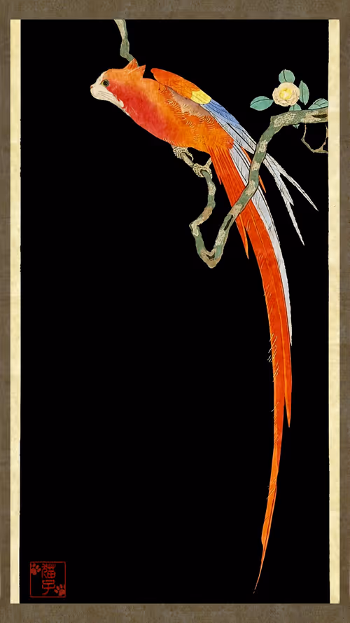 Item #13522913561689768078447405315860463395629552727431124462088668939465693069313 Media