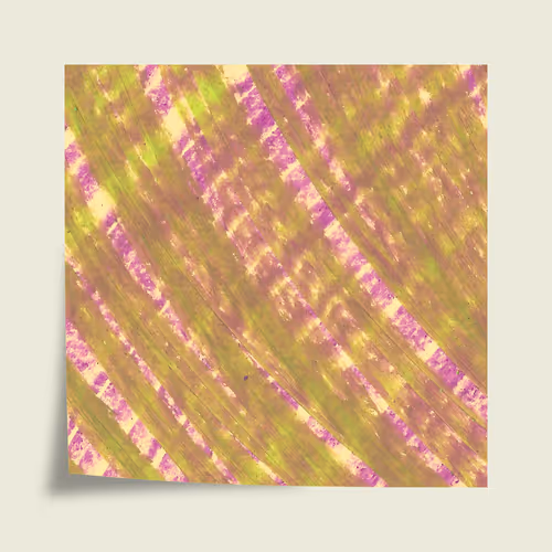 Item #41513183033228335254431674312431026392056503749948606592318857283382567501825 Media