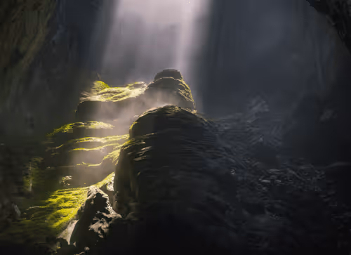 Light in Shadow