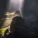 Light in Shadow