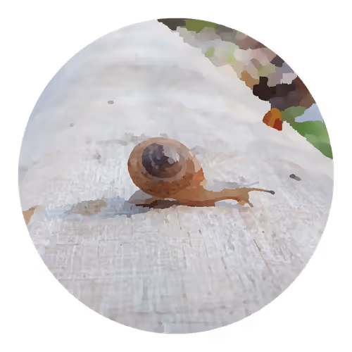 Item #73474911565276893363269127585336255498112534630235322163062143156816520937473 Media