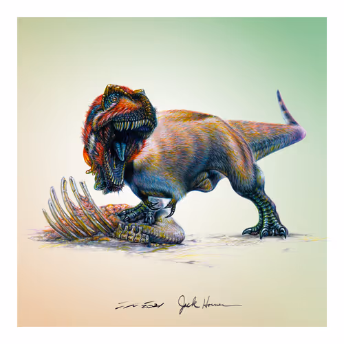 Item #22582927822880265950669941219355019494534003366966592492782895275356779970561 Media