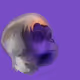 59167097175165192297333368509227854705503983871495562094313039045765892145153