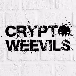 29314157866463614573355053931398882925484977285626546525081320734046705156196