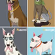 Dog_wearing_glasses Collection - old